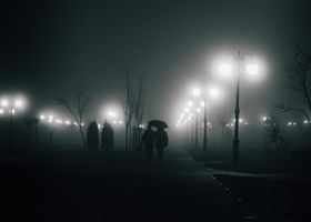 Night Garden Walk